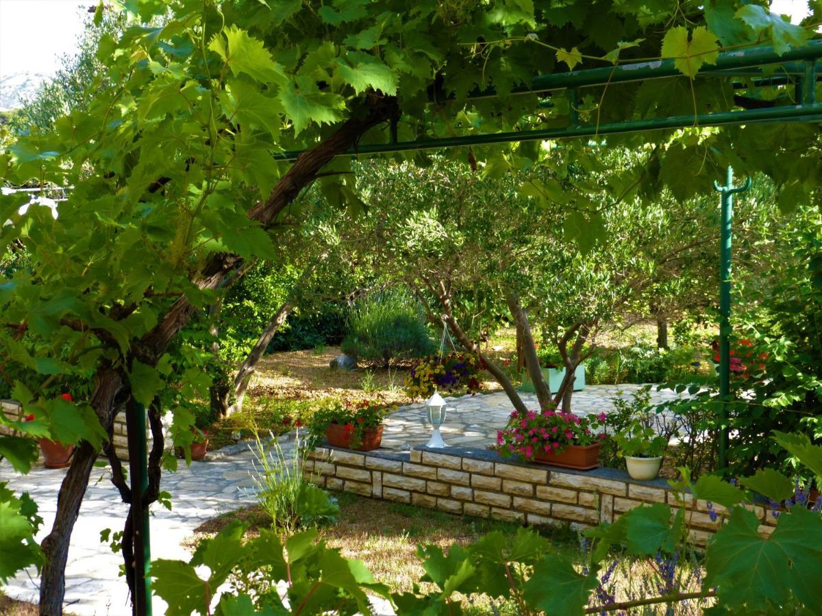 Apartmani Milena Barbat na Rabu Buitenkant foto