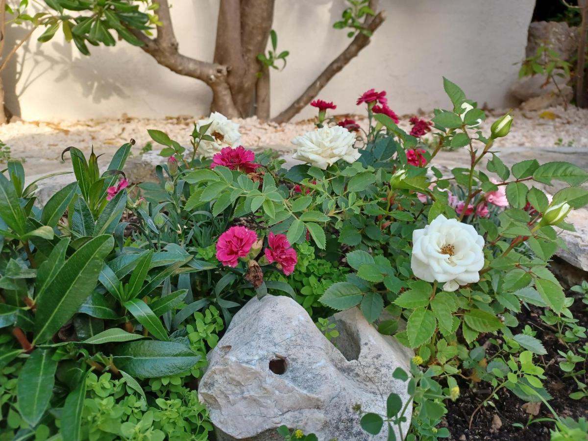 Apartmani Milena Barbat na Rabu Buitenkant foto
